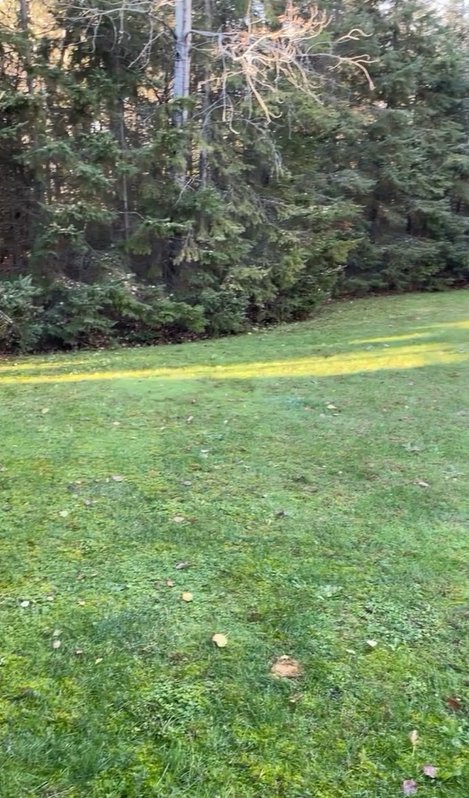 Stoney Hill Landscaping work